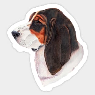 Basset hound - color Sticker